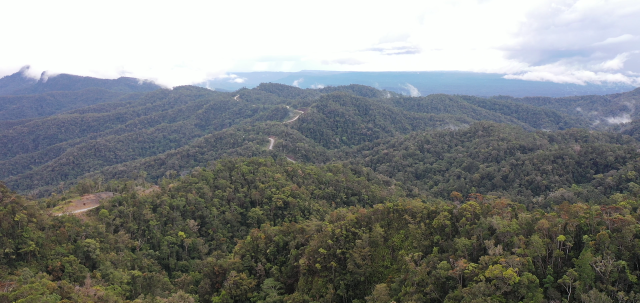 Jalan Trans Papua demi Pemerataan dan Keadilan