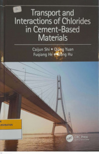 Image of Transport and Interactions of Chlorides in Cement-Based Material