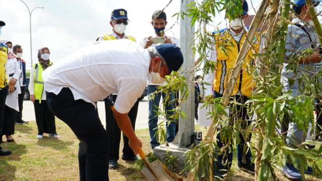 6.600 Bibit Pohon Kayu Putih dan Gaharu Ditanam Untuk Penghijauan Tol Trans Sumatra 